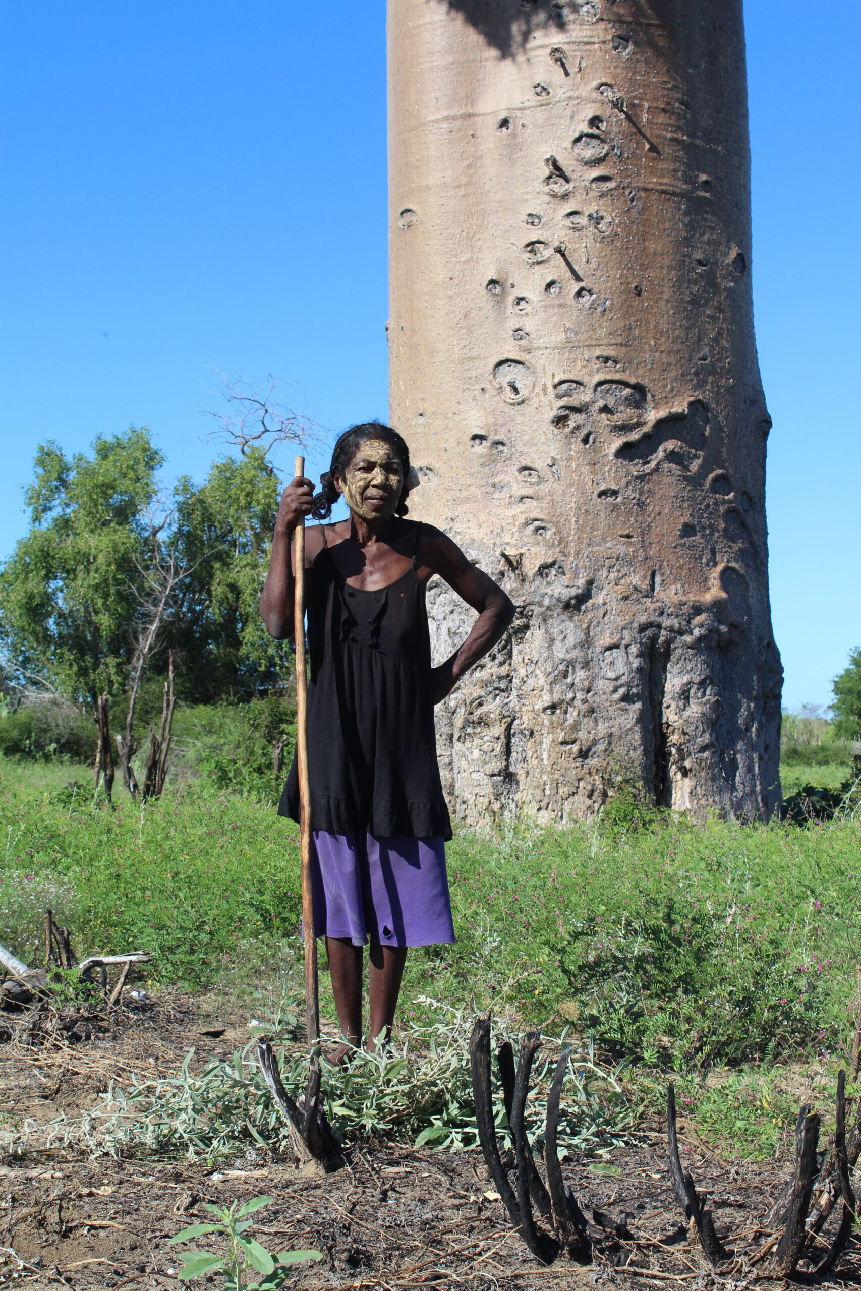 Falina works in the fields, growing cassava